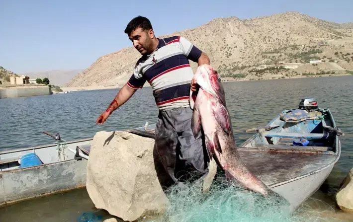 وەرزی قەدەخەی راوە ماسی لە هەرێمی کوردستان راگەیەندرا