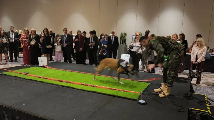 Pesmerge'ye Washington'da ödül