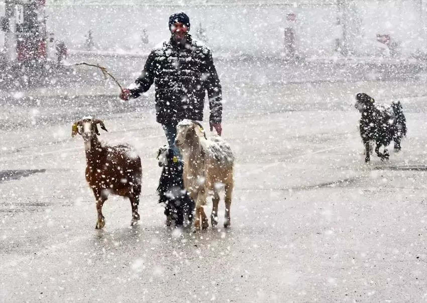 Li navça Sariqamîsê berfa bariya ajalvanan xist rewsekî xerab