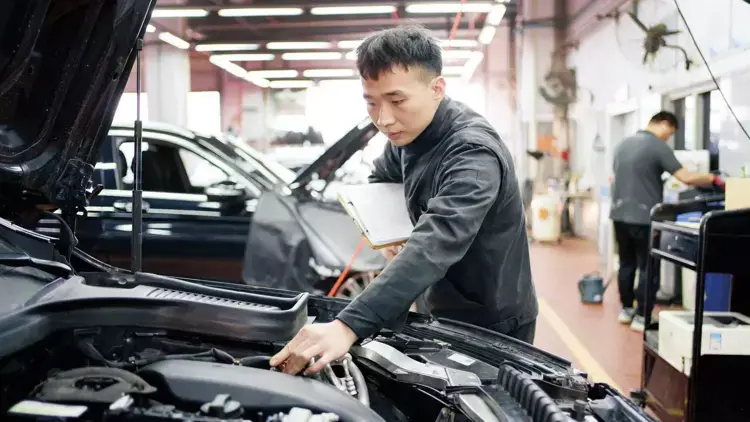 Çînê giliyê Tirkiyeyê li Rêxistina Bazirganiyê ya Cîhanê kir