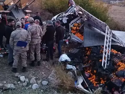 Kamyoneta meywe barkirî li Hawêl (Baykan) wergeriya û bav mir, kur birîndar bû