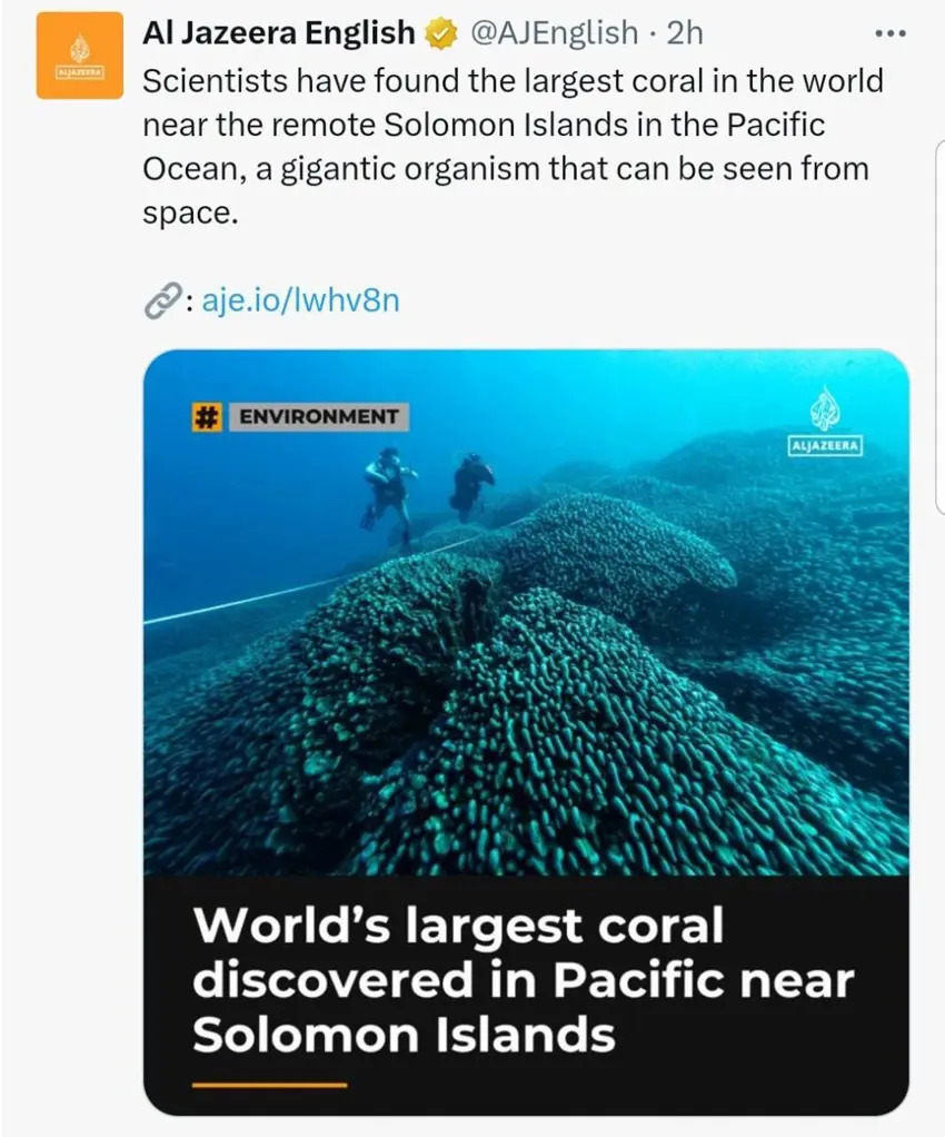 دۆزینەوەی گەورەترین مەرجانی جیهان