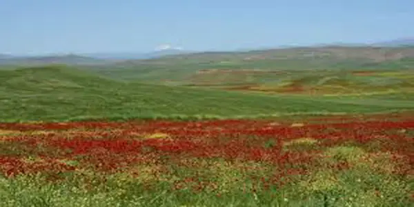 Deşta Xerzan ya Sêrtê wek "deşta mezin" hat îlankirin.