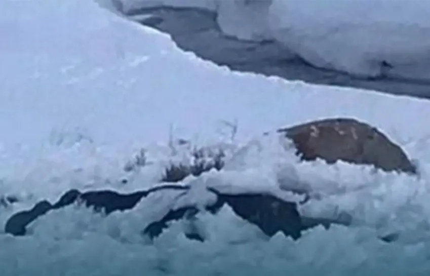 دۆزینەوەی تەرمی بەستووی سێ پەناخواز لەسەر سنووری نێوان ئێران و تورکیا