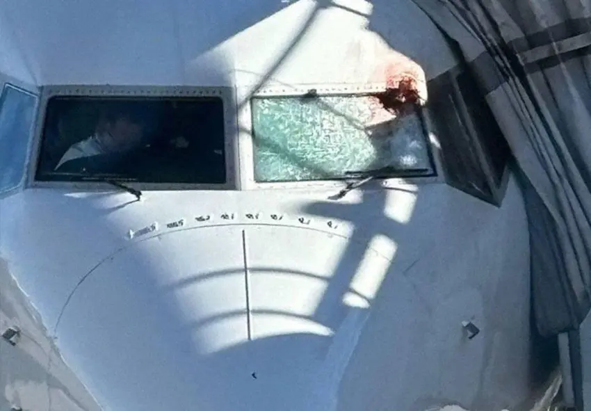 کەنەدا /  باڵندە فڕۆکەوانی فڕۆکەکەی بریندار کرد!