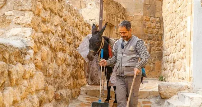 Li Mêrdînê kerên di karê paqijiya bajêr de tên xebitandin xanesîn dibin