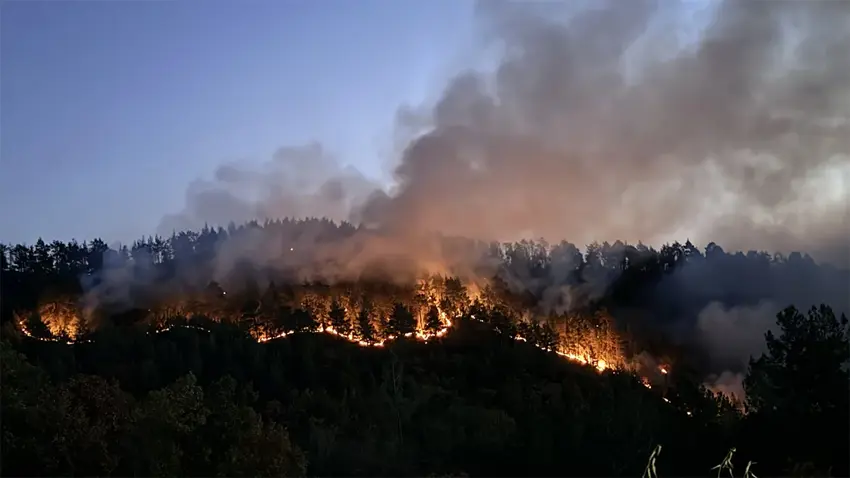 Li Tirkiyê, agir bi daristana bajarê Bursayê ket û giha bajarê Balikesirê