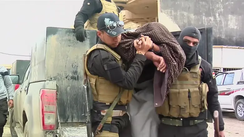 Li Nînowayê operasyon: 6 çekdarên DAISê hatin girtin