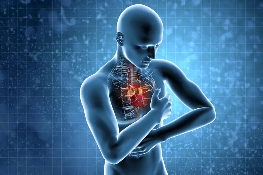 ئەو خۆراکانەی کە ئەگەری تووشبوون بە نەخۆشییەکانی دڵ زیاد دەکەن