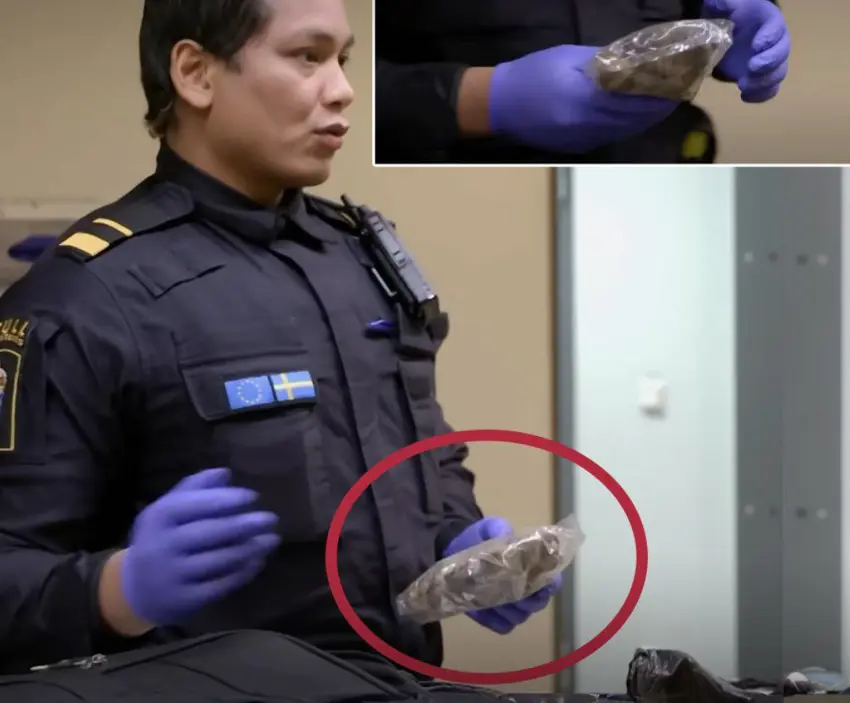 تەپاڵەی کەر لەناو جانتای سەرنشینێکی ئێرانی لە فڕۆکەخانەی سوید دەبێتە هۆی سەرسووڕمانی پۆلیسی ئەو وولاتە