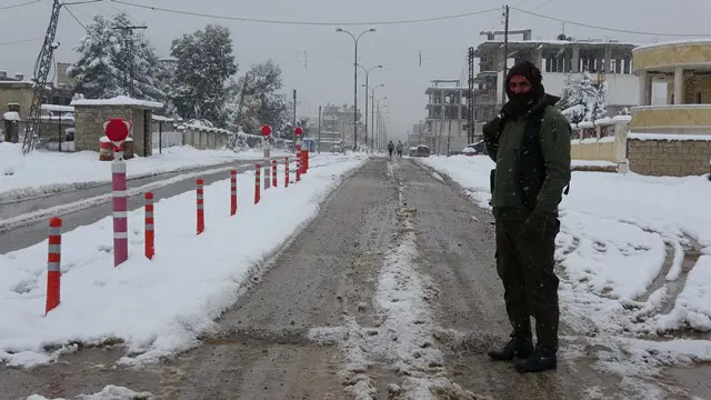 Li bakur berfa biharê