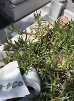 Li Îstenbolê êrîsê gora parêzerê Kurd Medet Serhat kirin