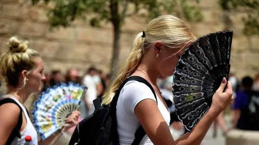 Germa zêde bû sedema mirina 61 kesan