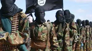 داعش لە پارێزگای سەلاحەدین دوو هێرشی ئەنجامدا