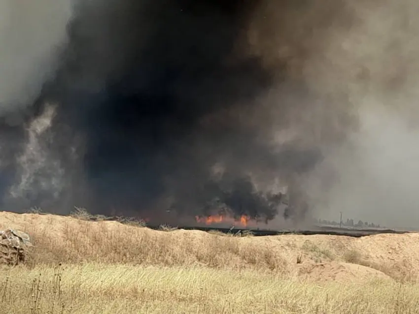 Rojava | Çekdaran agir bi zeviyên genim xist: Xebatên vemirandinê didomin