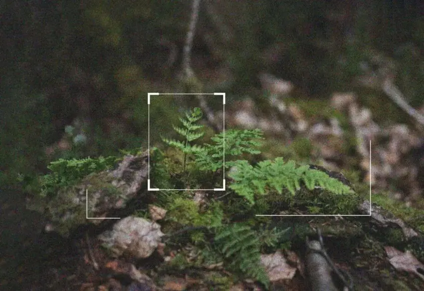 هاوکاری زەبەلاحەکانی تەکنۆلۆژیا بۆ لابردنی کاربۆن لە بەرگەهەوای زەوی؛ هاوپەیمانی گووگڵ و مێتا و مایکرۆسۆفت