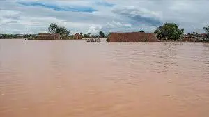 Li Kenyayê ji ber lehiyê zêdetirê 210 kes mirin