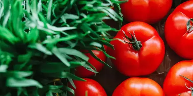 Bilim insanlari hayrete düstü! Domateslerde "paralel evren" kesfedildi