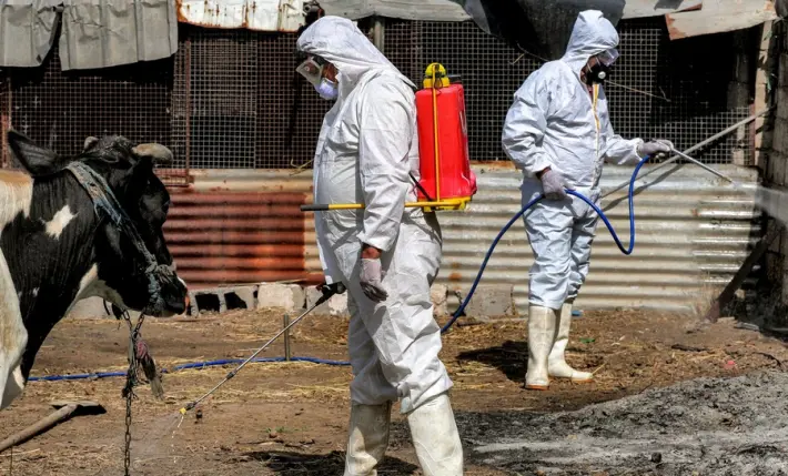 ئافرەتێك بەهۆی تای خوێن بەربوون گیانی لەدەستدا