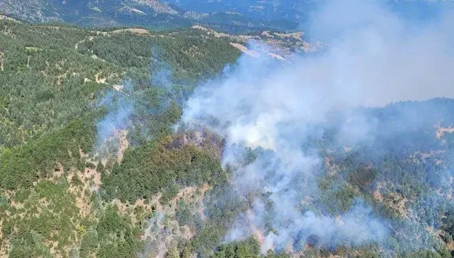 Li 4 bajarên Tirkiyê agir bi daristanan ketiye
