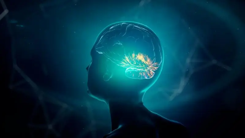 İnsan beyni dokusundan "yaşayan bilgisayar" üretildi! 