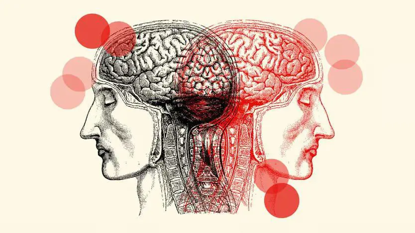 مێشکی مرۆڤ چەند تێرابایت داتا هەڵدەگرێت؟