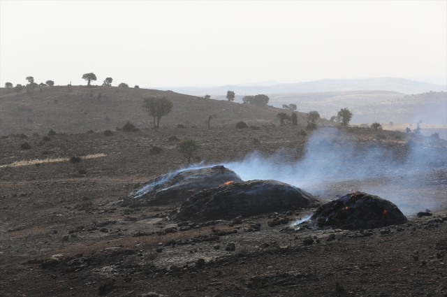 Di sewata pirêzan yên li Mêrdînê û Diyarbekirê de 500 mîh zêdetir mirin