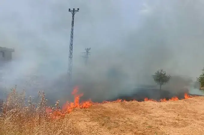 Li Çinara Amedê dîsa sewat