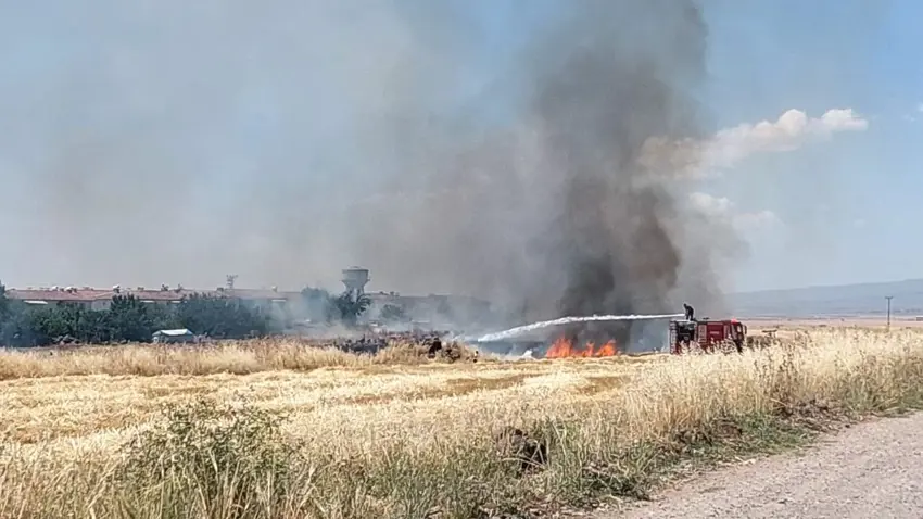 Li navça Sûrê ya bi ser bajarê Amedê brûsk li erdê xist û 137 donum genim sewitî