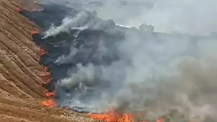 Li Farqîna Diyarbekirê sewat: Sewat heta taxekê belav bû