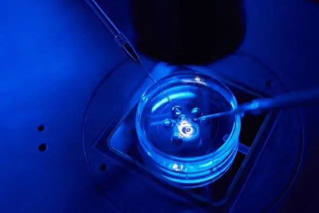 یەکەم "حەبی دووگیانی" درووستکرا