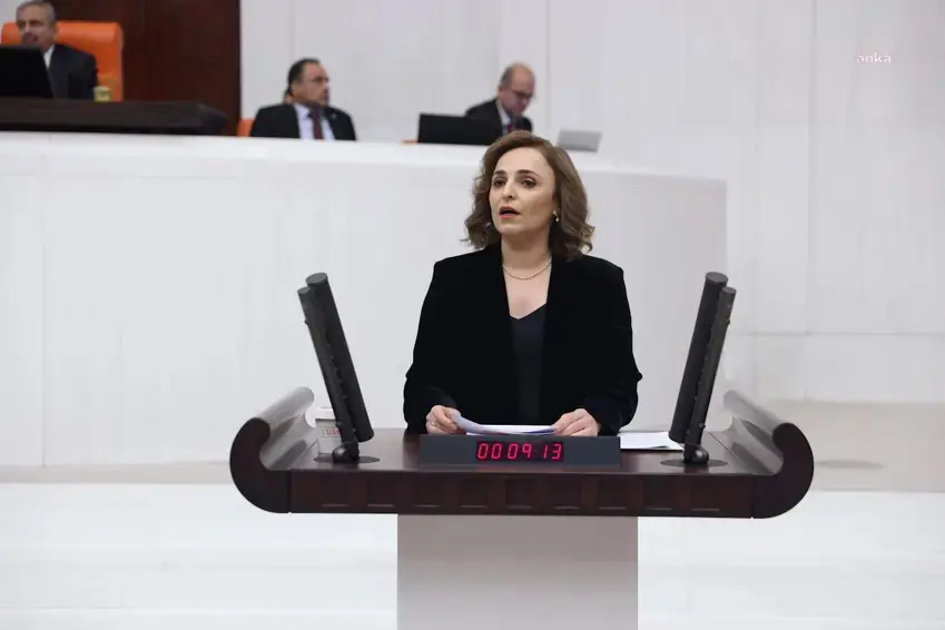 Aysegul Dogan: Divê tifaqa Enqere û Samê ne li dijî Kurdan be