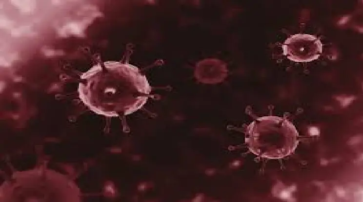 Pêla havînê ya Covid-19 li Dewletên Yekbûyî bandorê li 26 dewletan dike