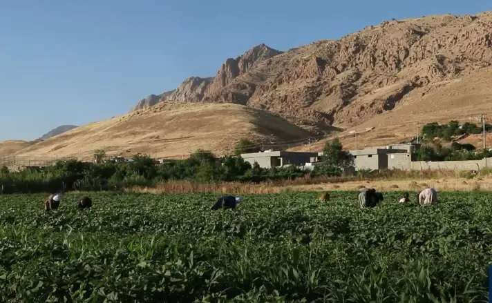 Bexda bi hawirdekirina hin berheman ziyanê dide aboriya Hewlêrê