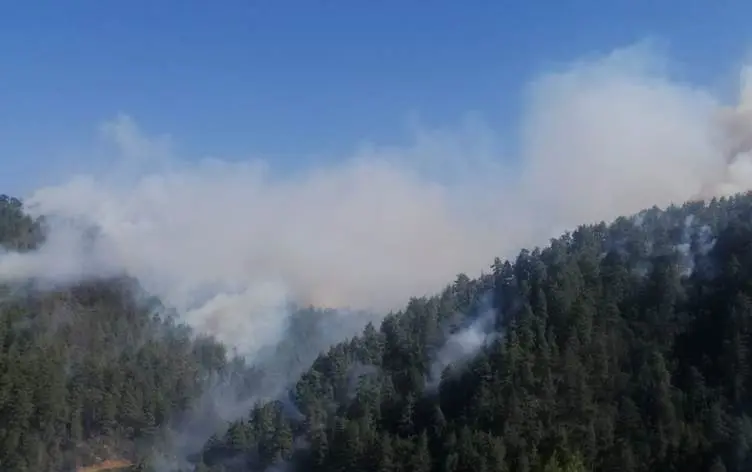 Li Meresê agir bi daristanê ket