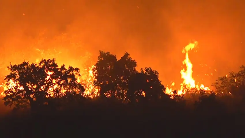 Duhok'un Nizarke daginda yangin!