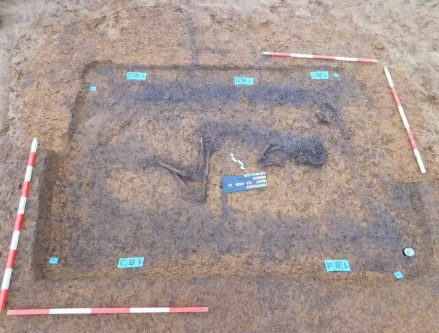 دۆزینەوەی گۆڕەستانێکی پێش مێژوو لە کاتی درووستکردنی ڕێگاوبان لە ئەورووپا