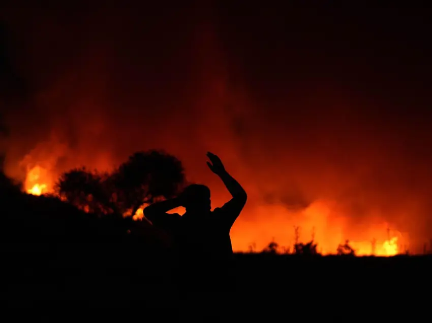 Li 6 bajarên Tirkiyê daristan disewitin
