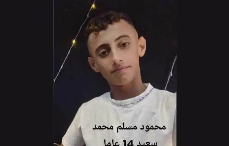 Leskerên Tirkiyeyê li Kobaniyê zarokekî 14 salî kustin