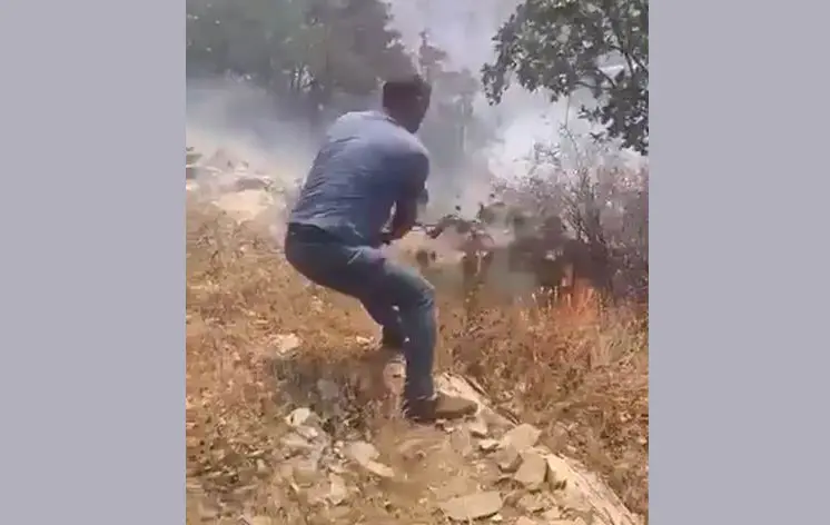 Amed: Agir bi daristanê ket