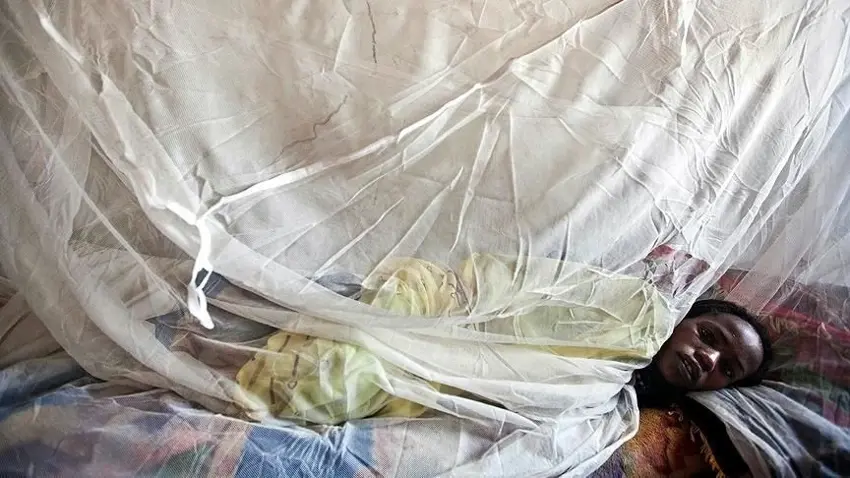 Li Nîjeryayê hejmara kesên ji ber taya Lassa mirin derket 163yan