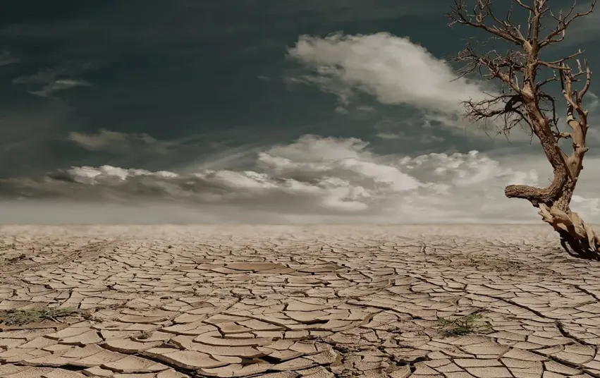 ji sedî 59ê axa Brazîlê tûsî hiskesaliyê bûye