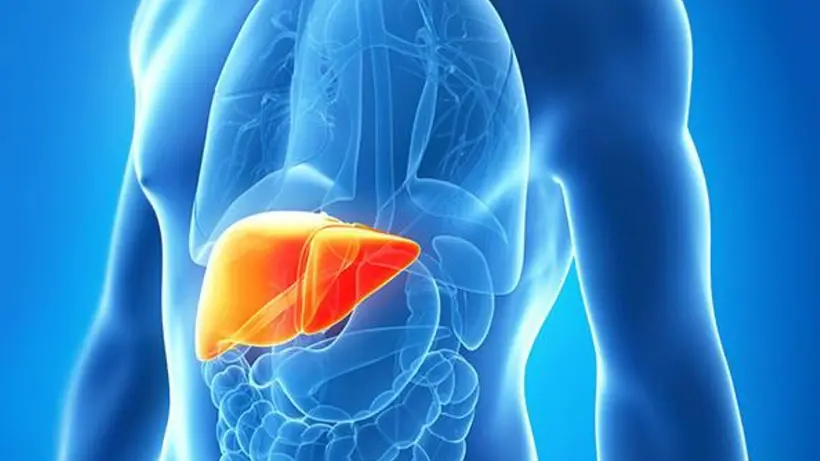 Karaciger yaglanmasina dikkat! Kanser tehlikesi var! 