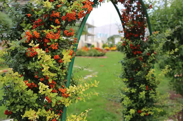 لە هەولێر چوار پارکی گەورە درووست دەکرێن