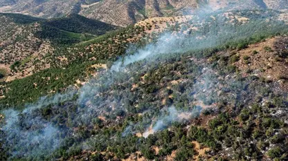 ٢٢٧ حاڵەتی ئاگرتێبەردان لە ژینگە و لێڕەوارەکانی شاری مەریوان لە شەش مانگ دا تۆمارکراوە