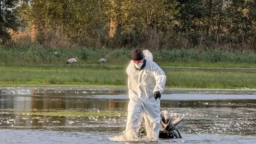 Almanya diken üstünde! Salgin kontrolden çikiyor!