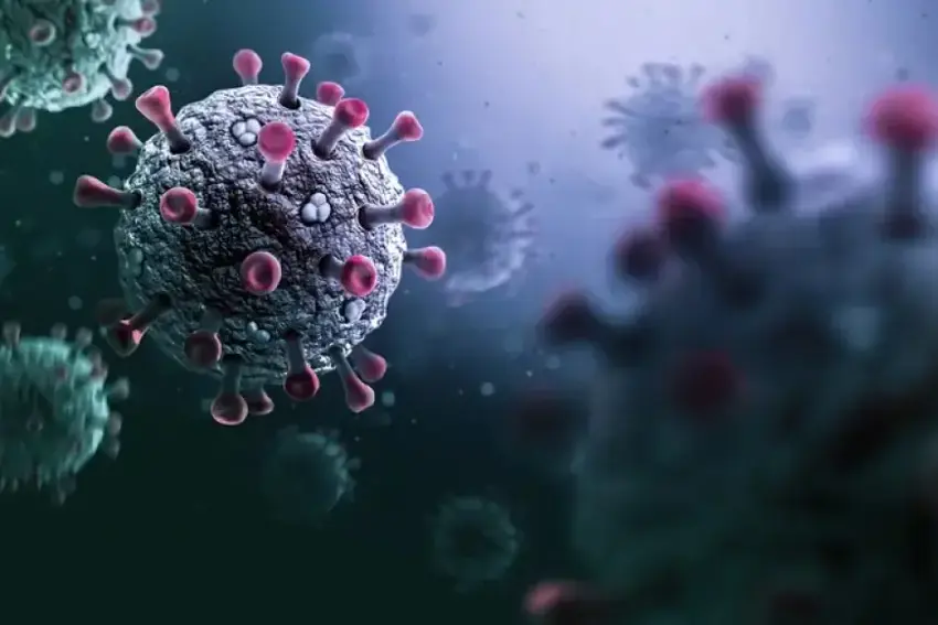 Li Brezîlyayê Koronavîruseke nû ya bi potansiyela mirovan hat keşifkirin