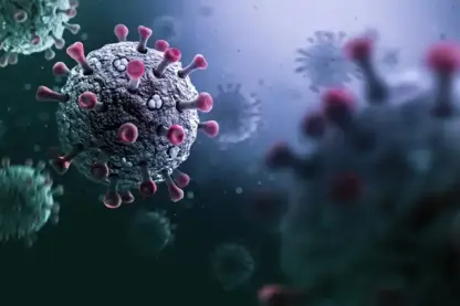 Li Brezîlyayê Koronavîruseke nû ya bi potansiyela mirovan hat keşifkirin