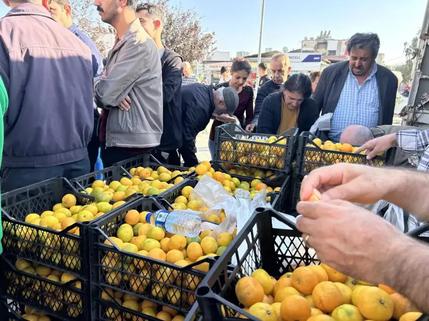 Hilberîner li Samandagê mandalînayan belas belav dikin