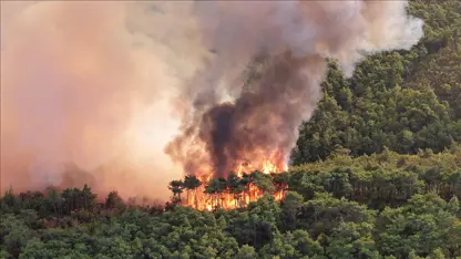 İran orman yangınlarına karşı uluslararası yardım istedi